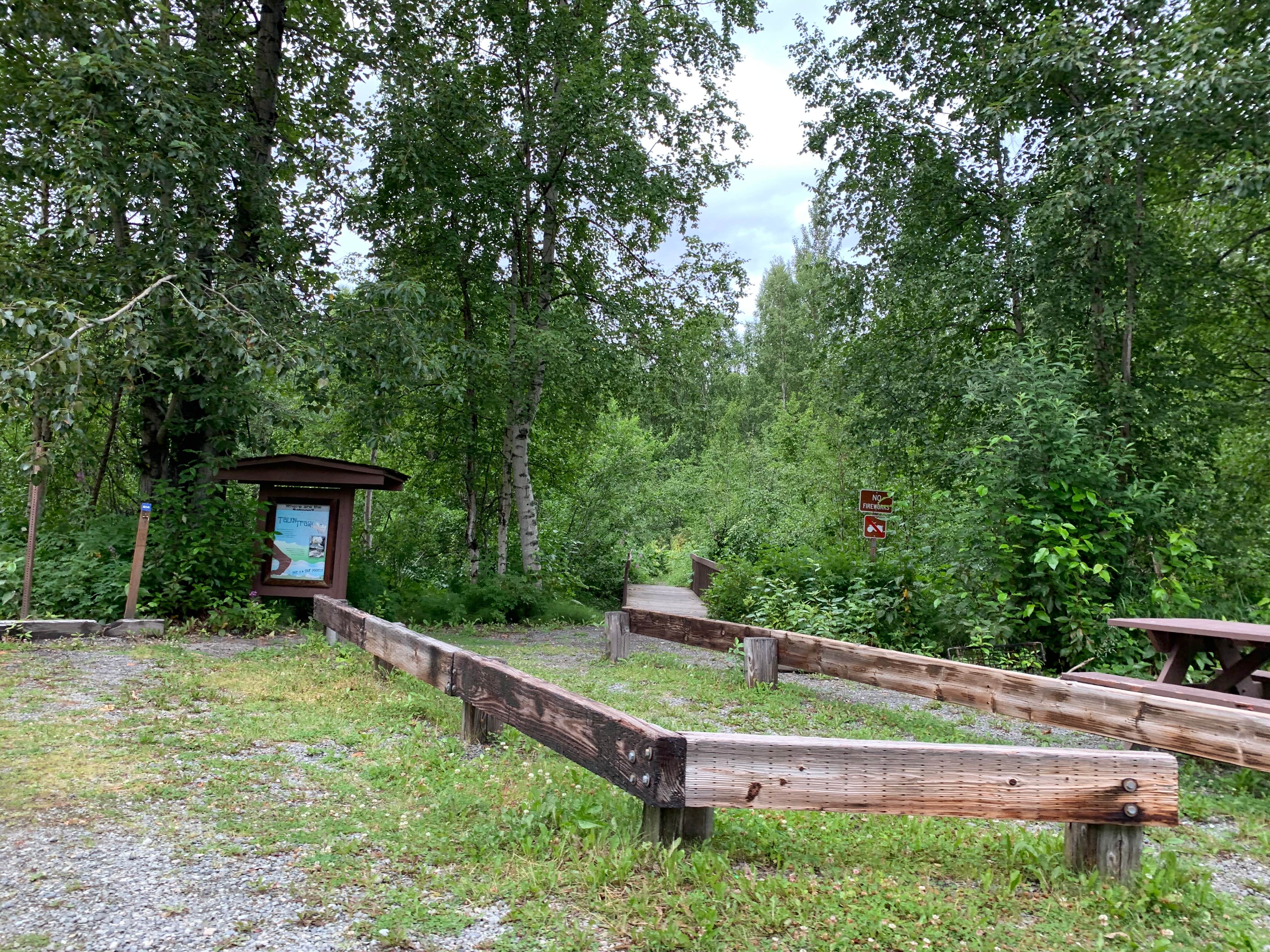 Camper-submitted photo at Montana Creek State Recreation Site near Talkeetna, AK