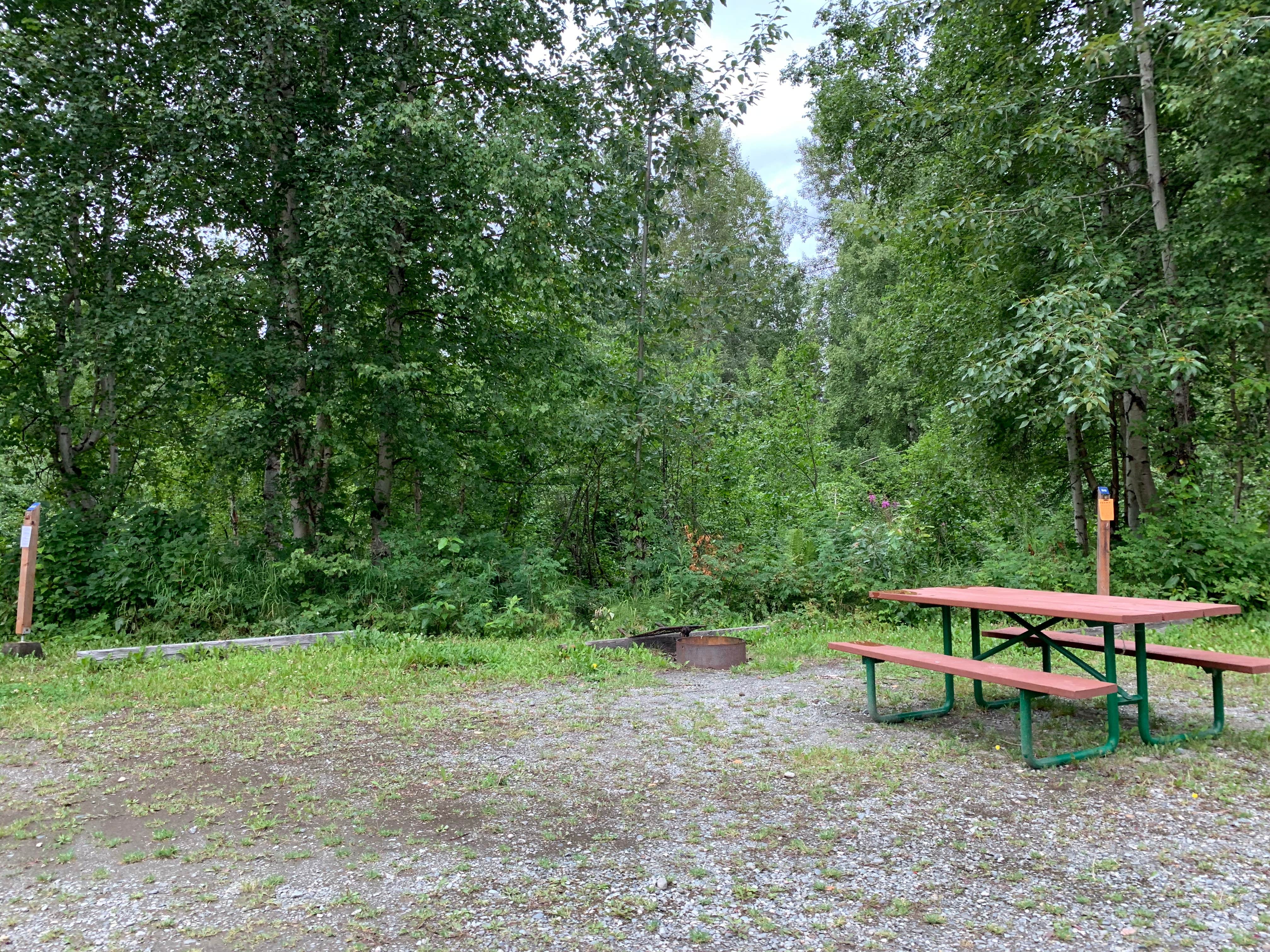 Camper-submitted photo at Montana Creek State Recreation Site near Talkeetna, AK