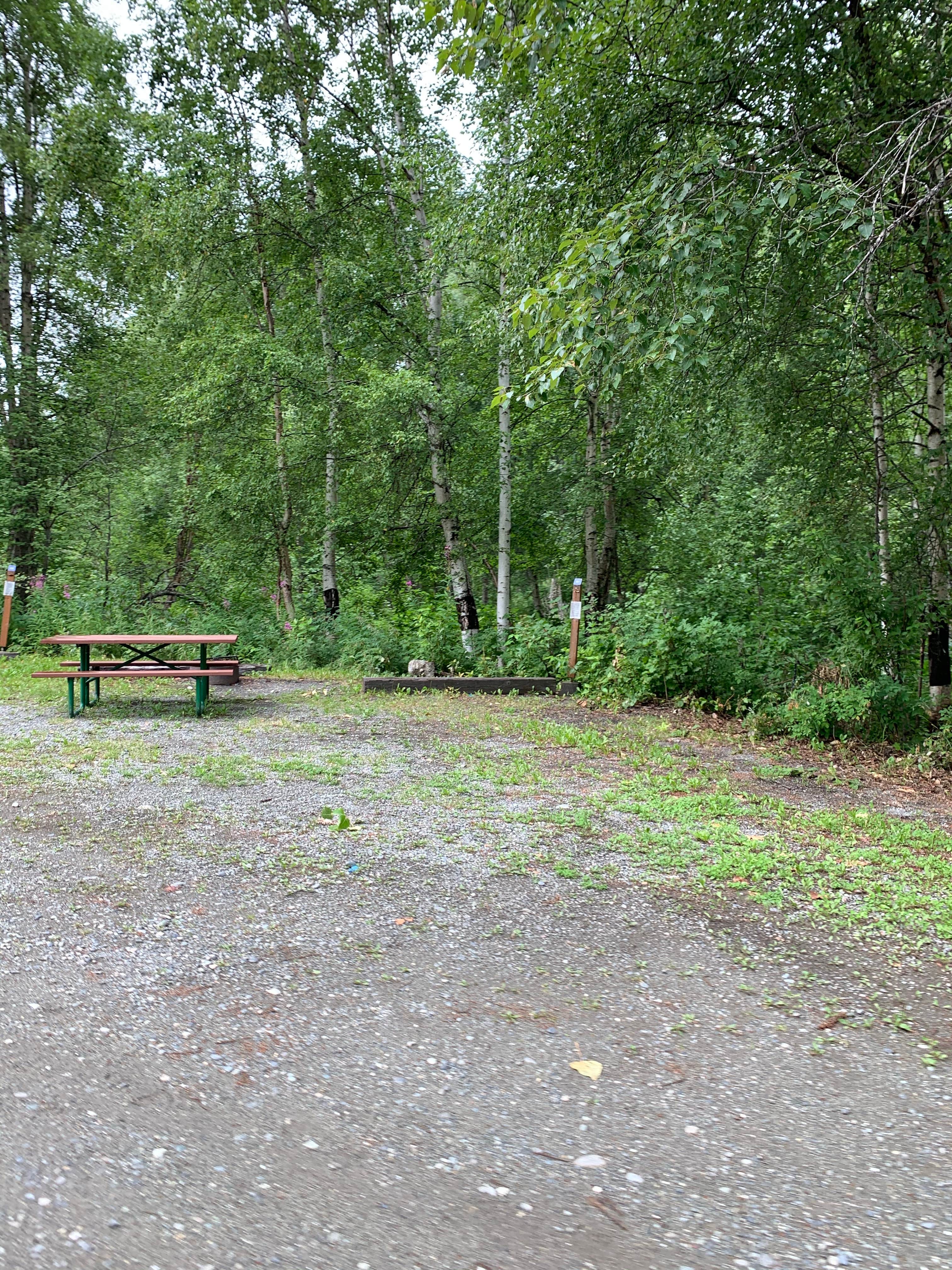 Camper-submitted photo at Montana Creek State Recreation Site near Talkeetna, AK