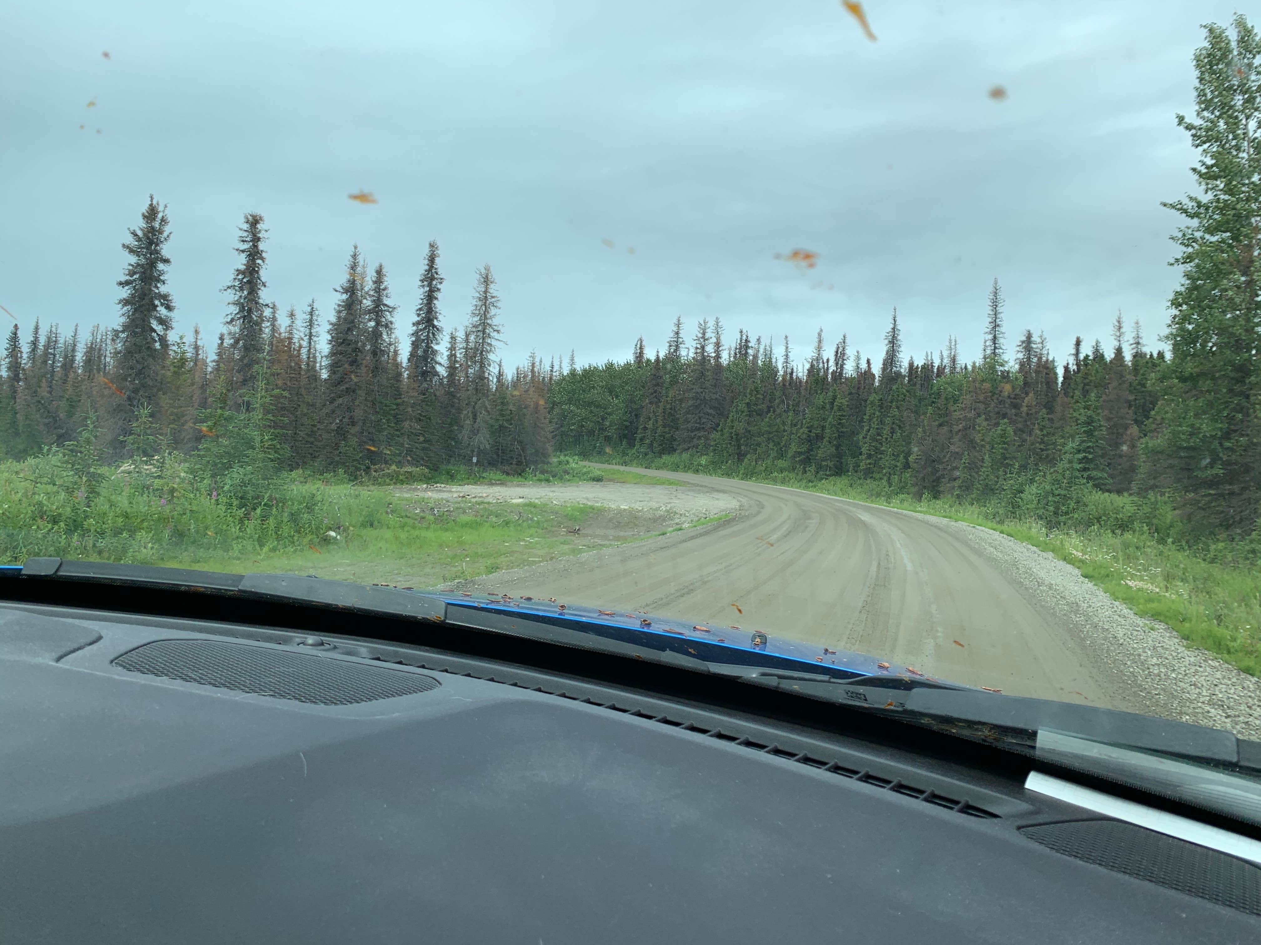 Camper-submitted photo at Road camping Willow-Fishook Road near Willow, AK