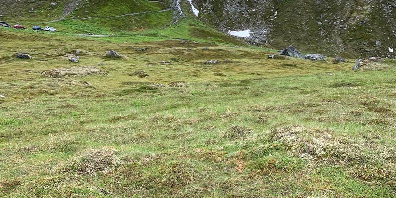 Camper submitted image from Hatcher Pass – Fishhook lot