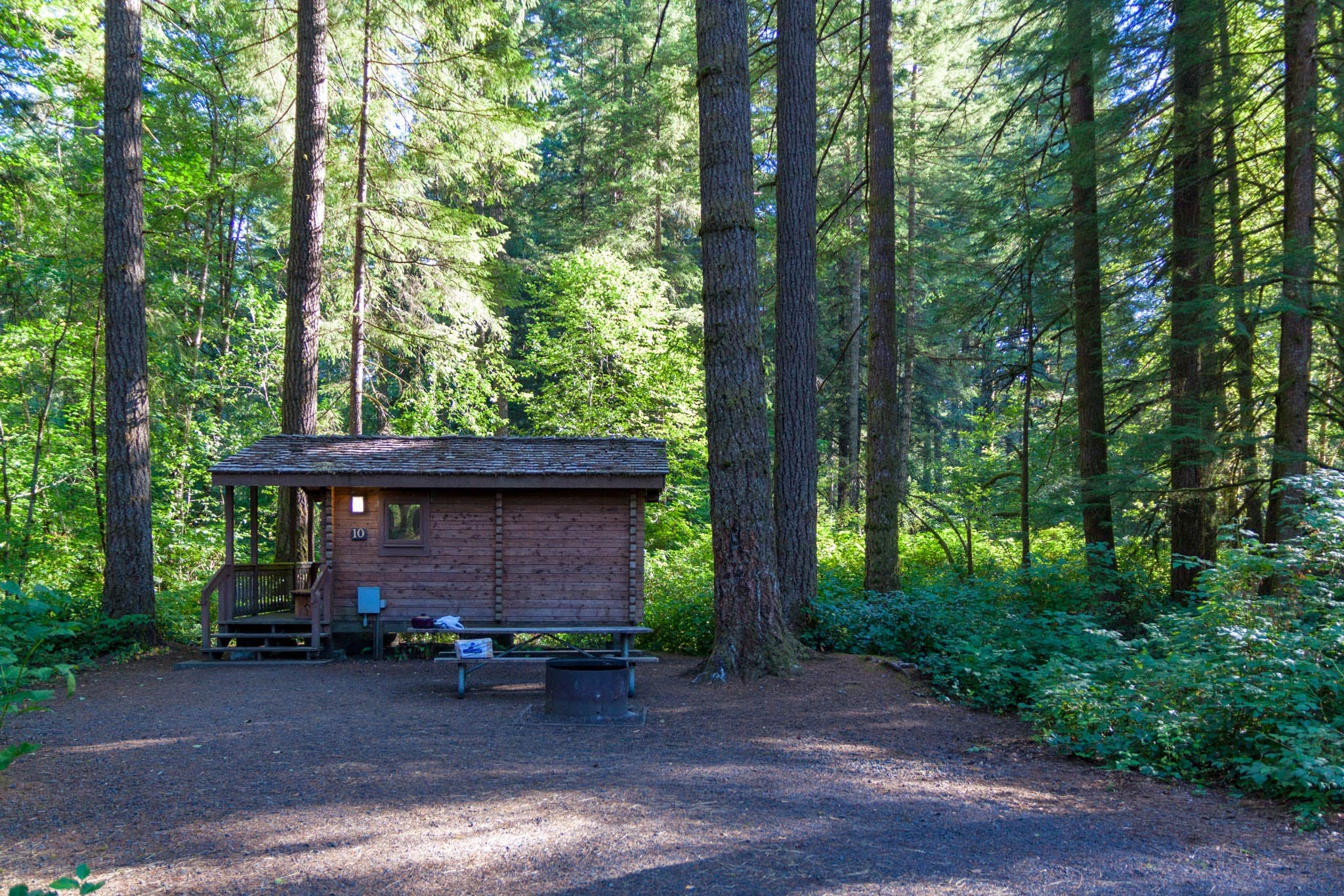 Camper submitted image from Smith Creek Village — Silver Falls State Park - 3