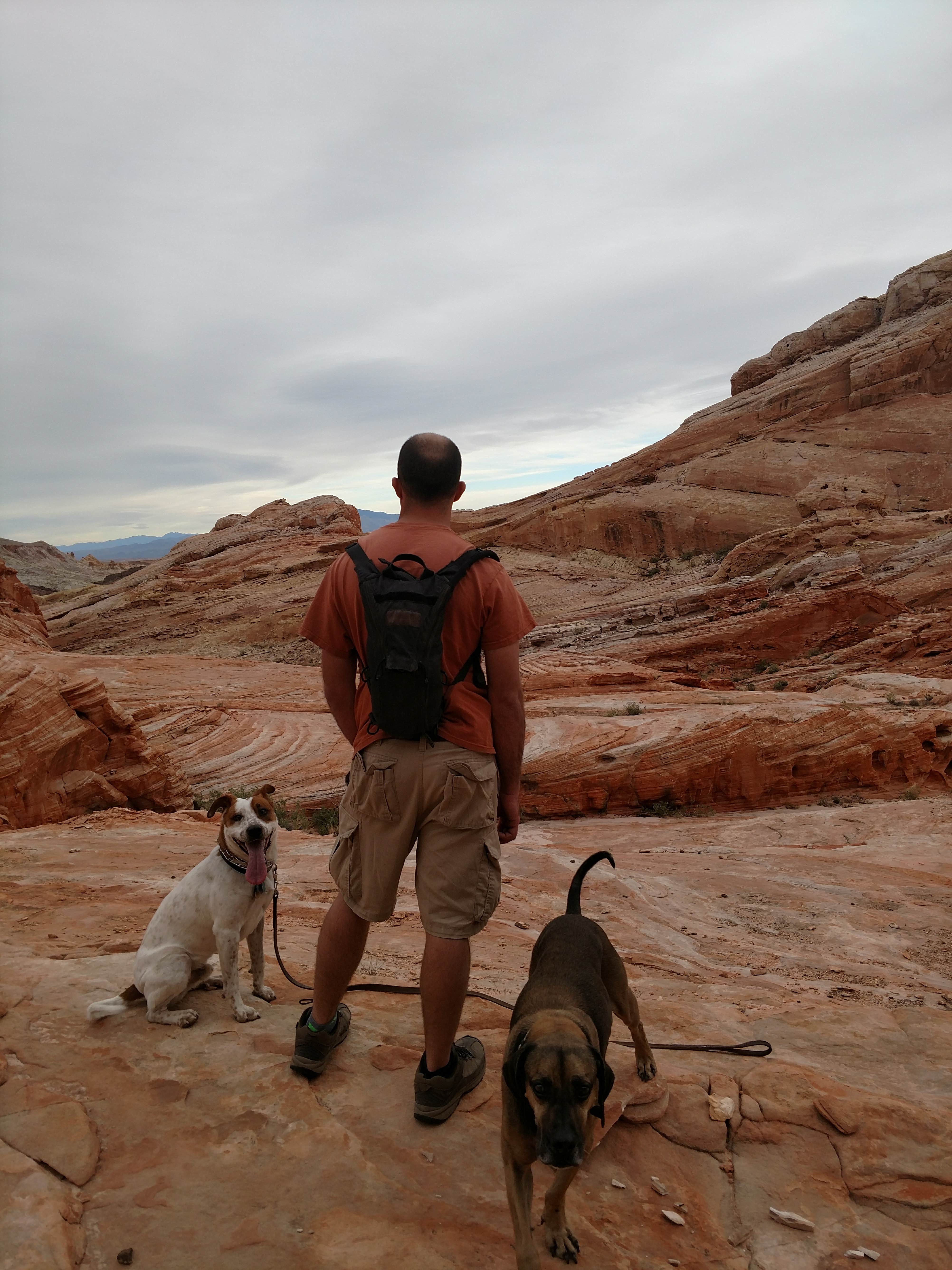 Chelsea K.'s photo of camping with pets at Atlatl Rock Campground — Valley of Fire State Park near Lake Mead National Recreation Area
