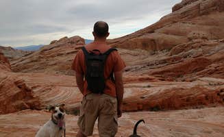 Chelsea K.'s photo of camping with pets at Atlatl Rock Campground — Valley of Fire State Park near Overton, NV
