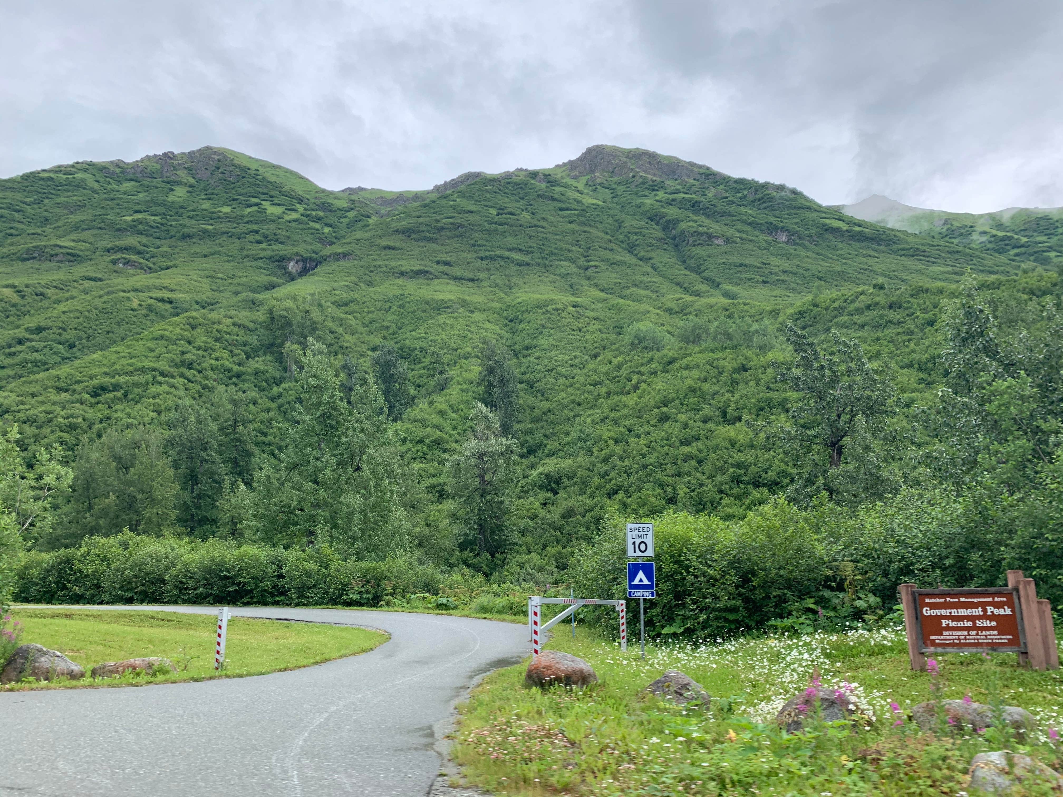 Camper submitted image from Hatcher Pass – Government Peak - 4