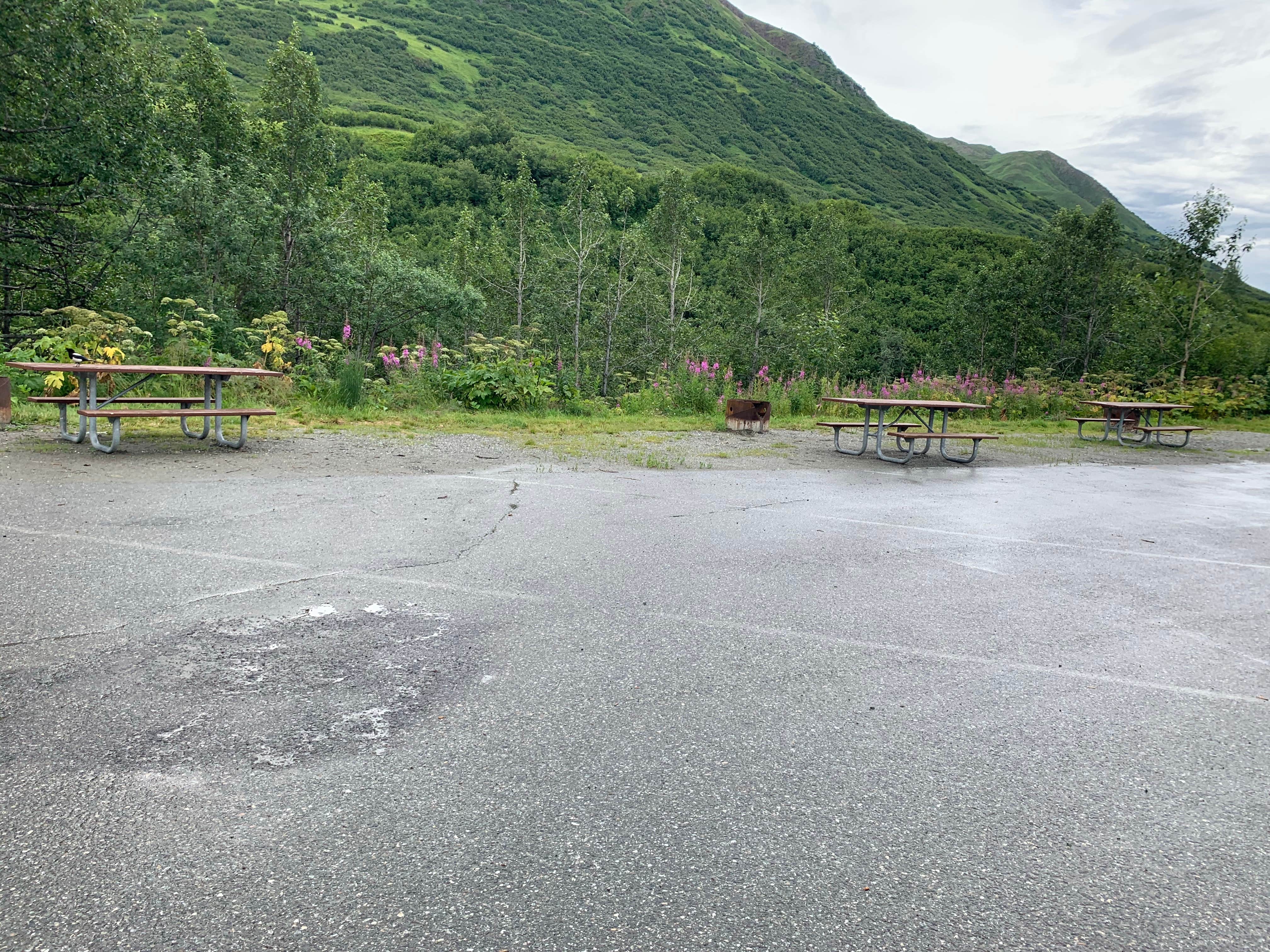 Camper submitted image from Hatcher Pass – Government Peak - 4