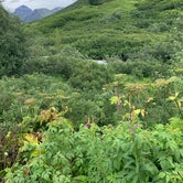 Review photo of Hatcher Pass – Government Peak by Tanya B., August 14, 2020