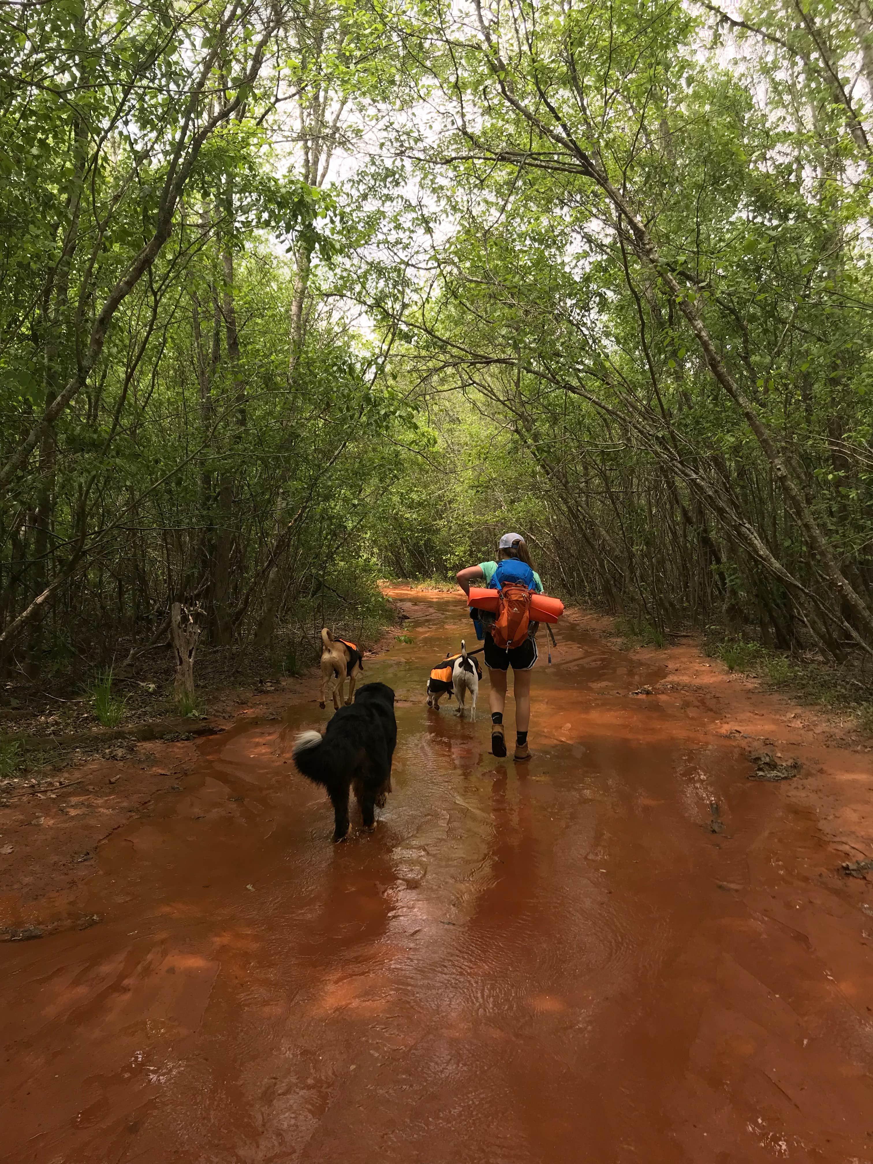 Providence Canyon State Park Campground