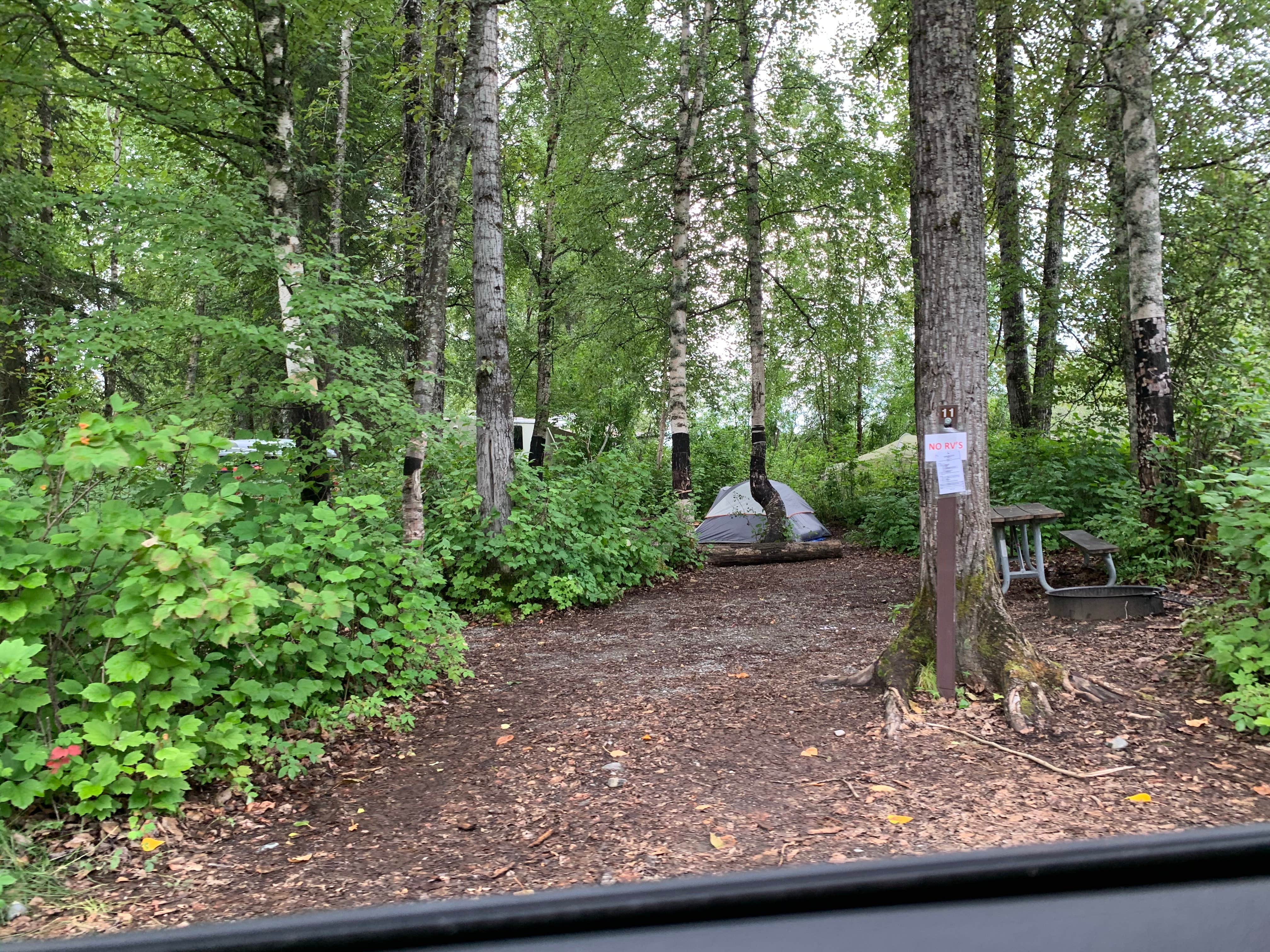 Camper-submitted photo at River Park Campground - May-Su Borough near Talkeetna, AK