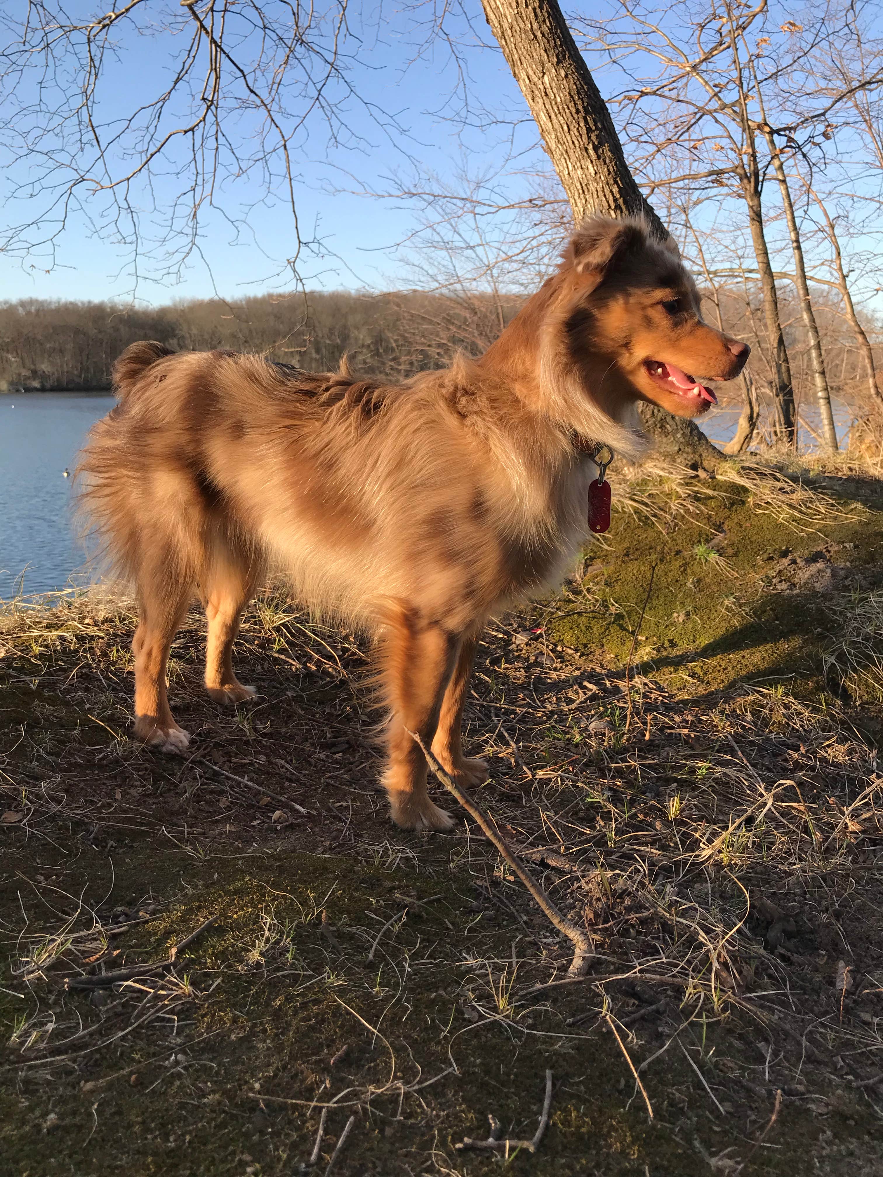 Camper-submitted photo at Spring Lake Park - Macomb near Wolf Lake, IL