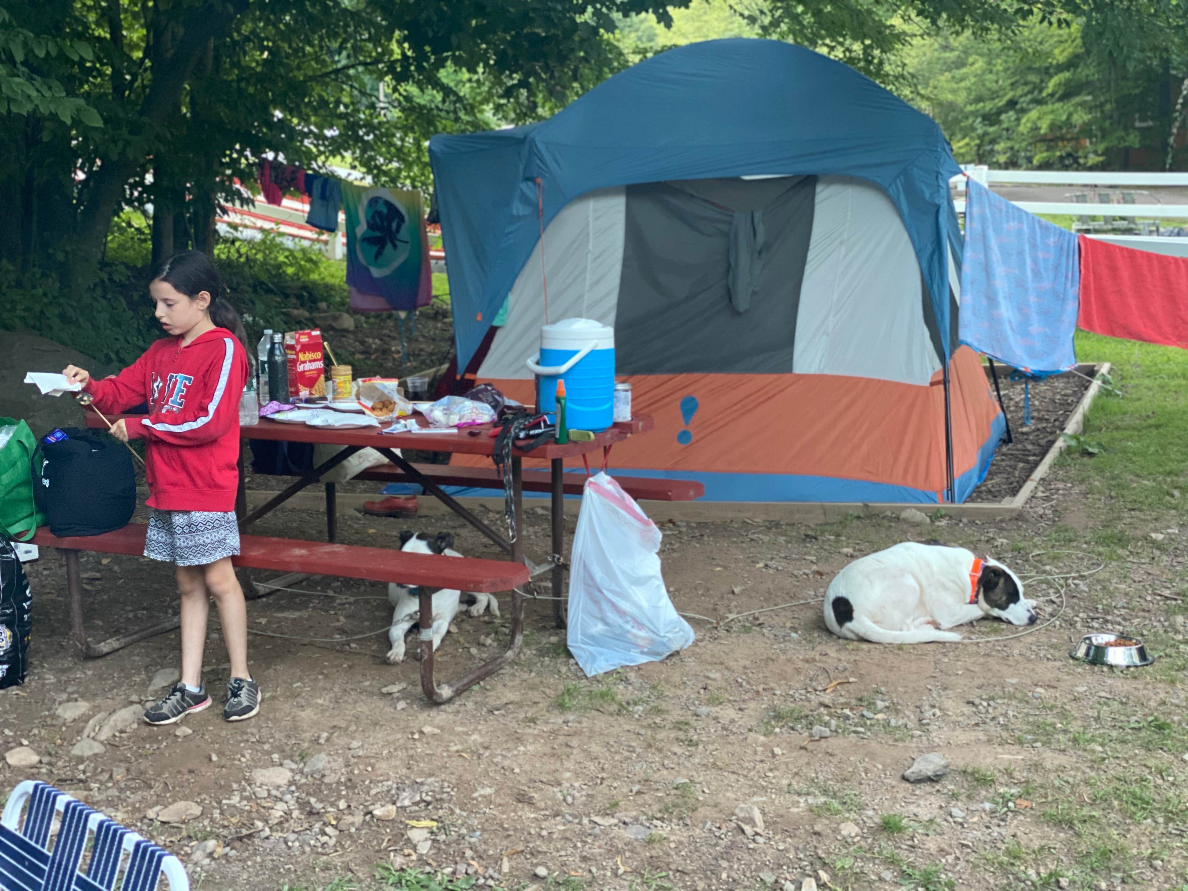 Camper submitted image from Honesdale - Poconos KOA - 2