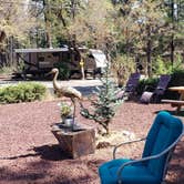 Review photo of Burney Falls Resort by Ioan P., August 14, 2020