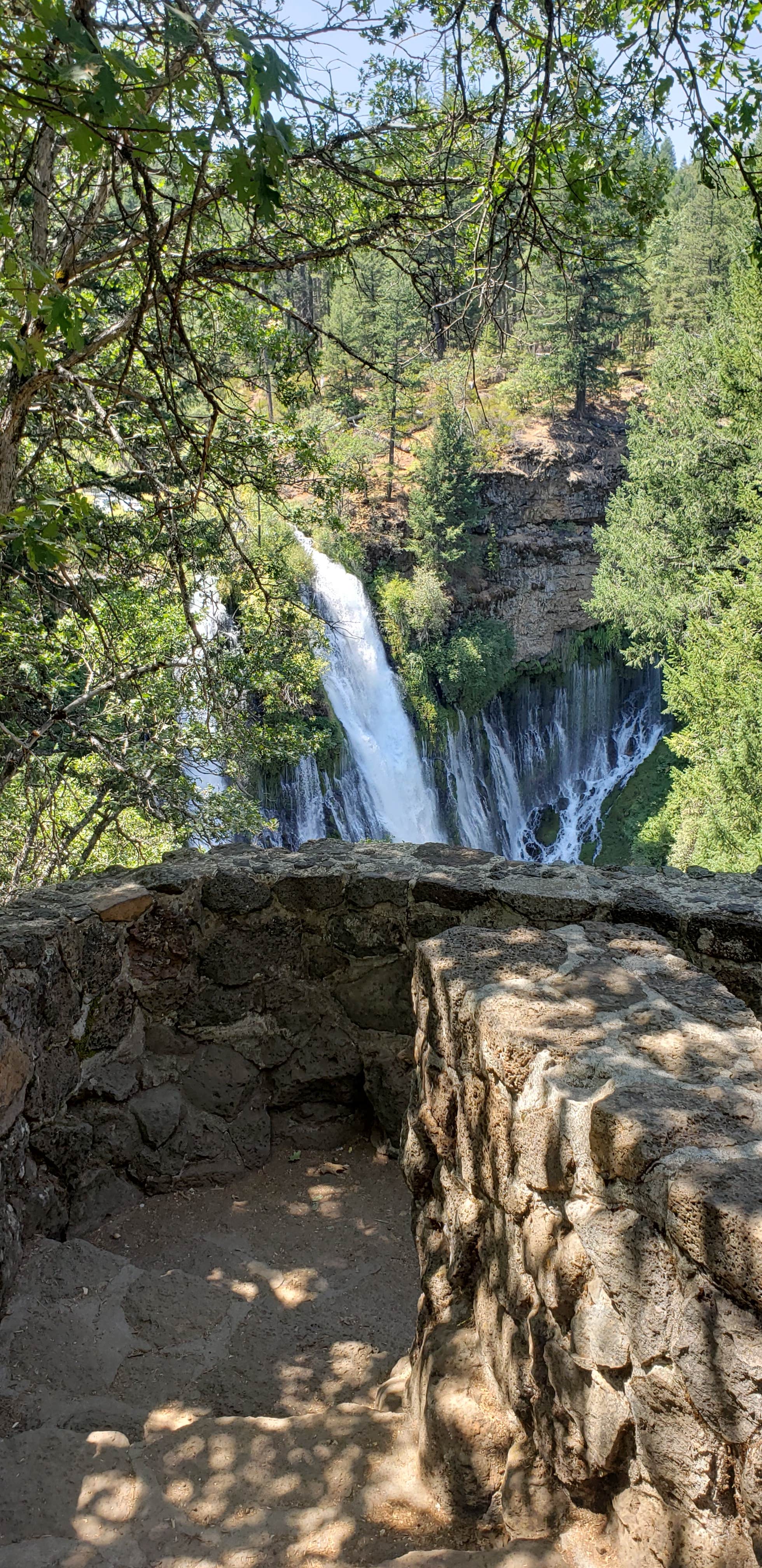 Camper submitted image from Burney Falls Resort - 3