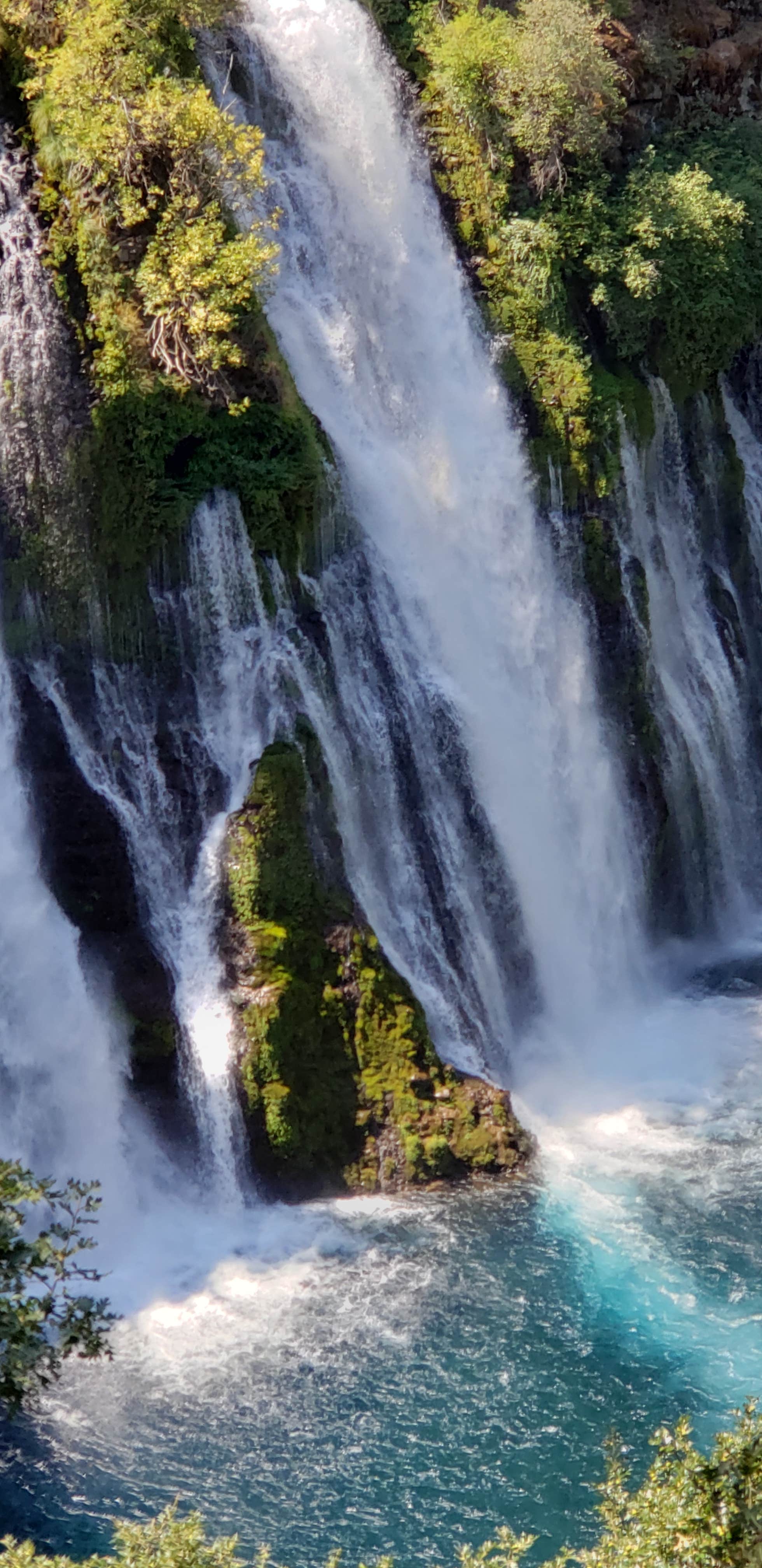 Camper-submitted photo at Burney Falls Resort near Cassel, CA