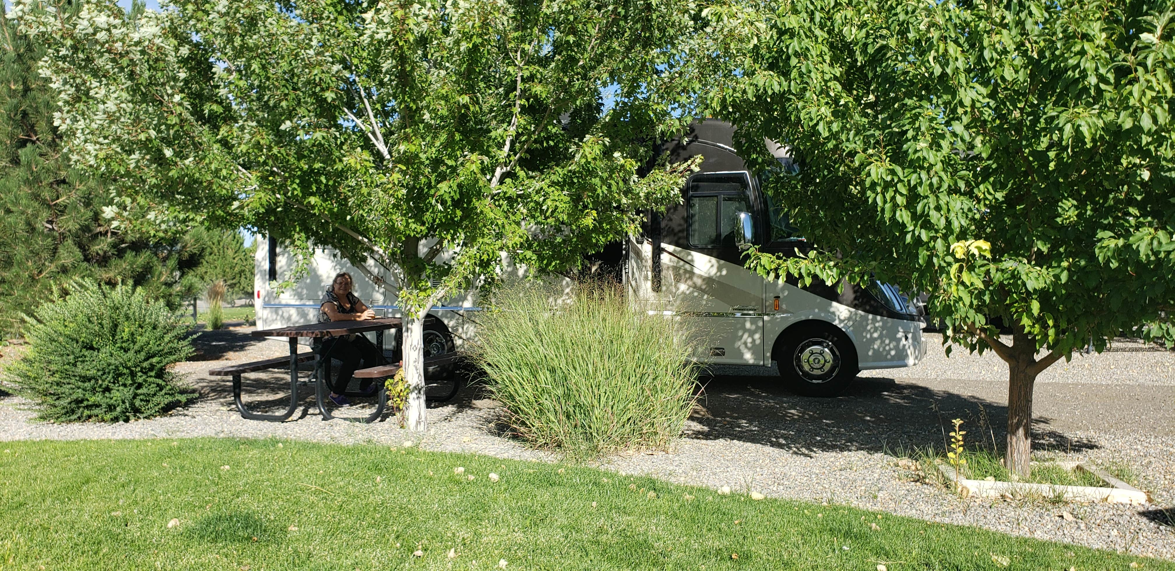 Camper submitted image from New Frontier RV Park - 3