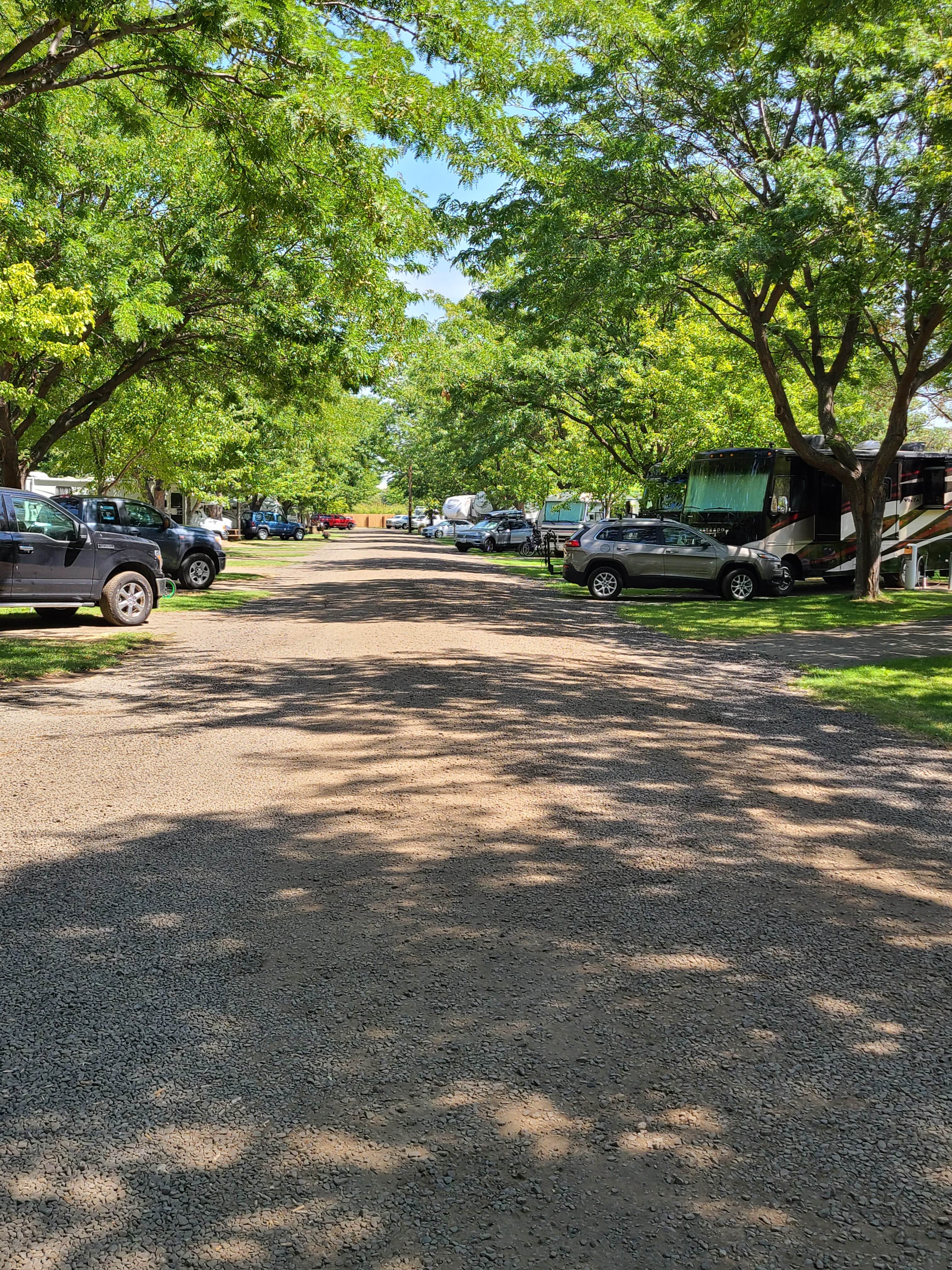 Peach Beach RV Park on the Columbia The Dyrt