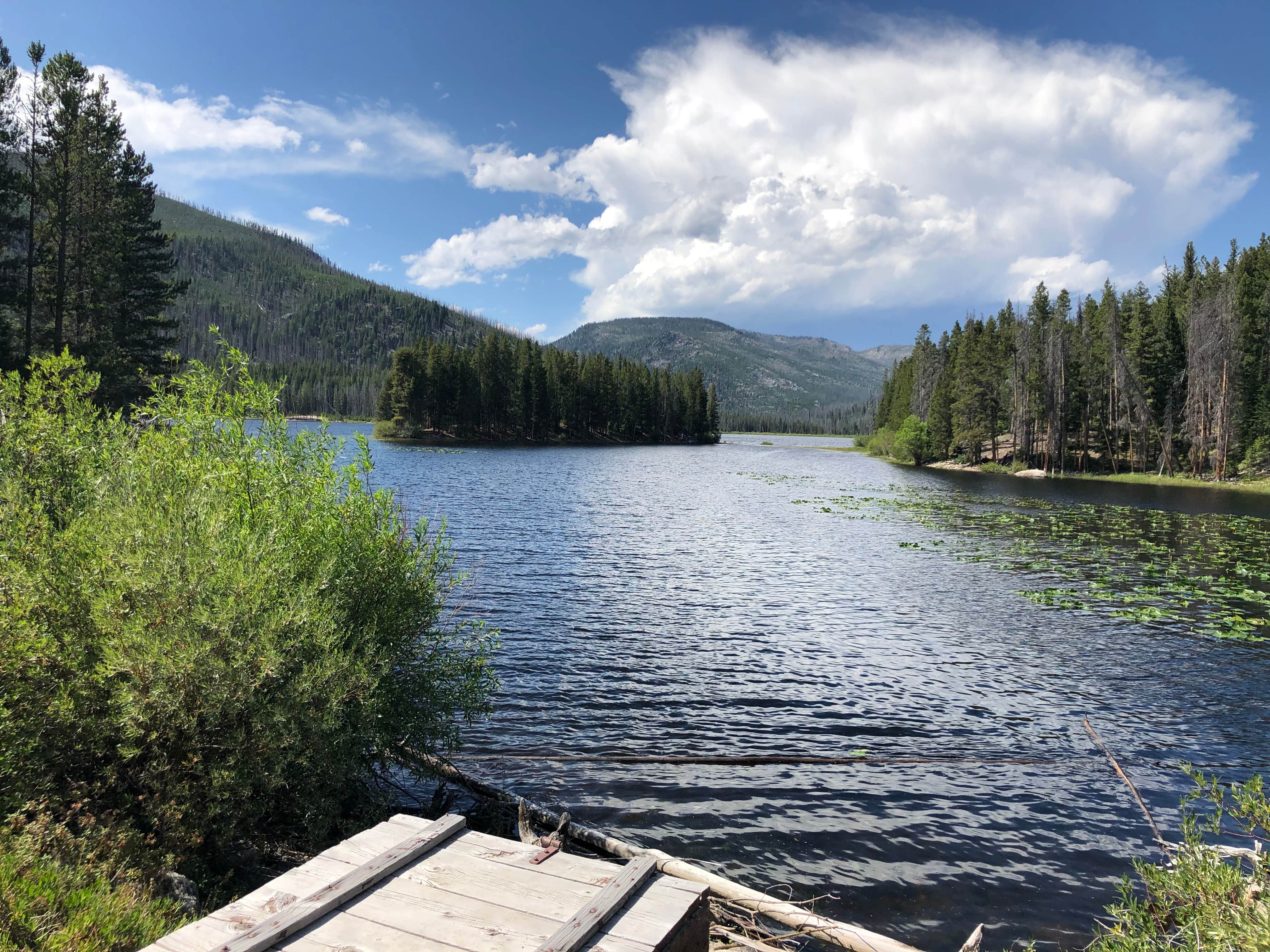 Montana's Hidden Gem: Mussigbrod Campground, Where Adventure Awaits