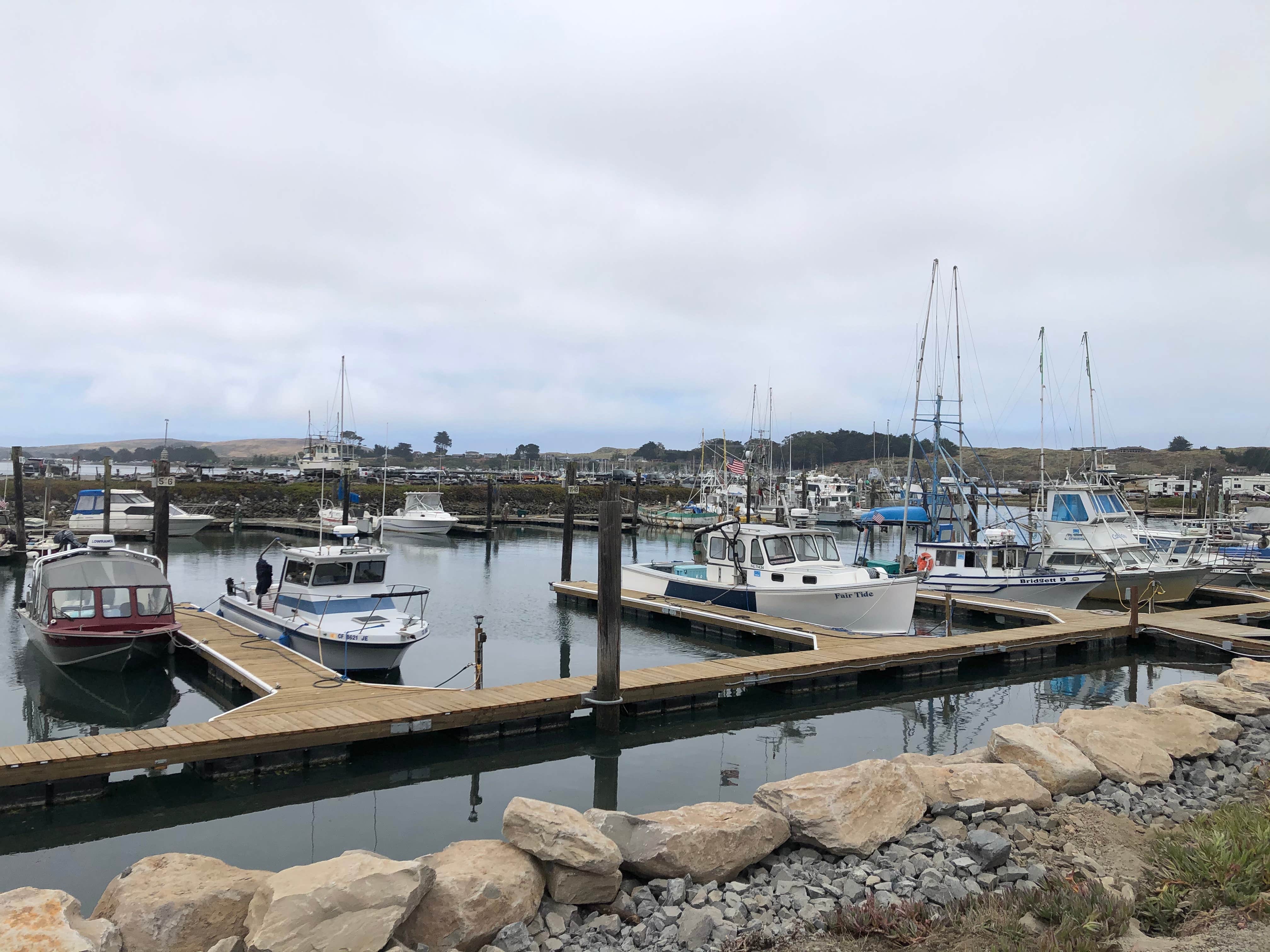 Camper-submitted photo at Porto Bodega Marina & RV Park near Rutherford, CA