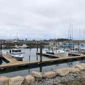 Review photo of Porto Bodega Marina & RV Park by Kevin D., August 14, 2020