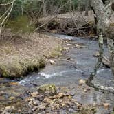 Review photo of Stone Mountain State Park Campground by Annell N., August 14, 2020