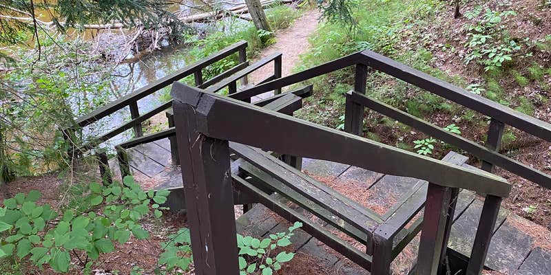 Camper submitted image from Carp River Campground