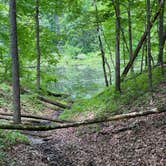 Review photo of Shakamak State Park — Shakamak Prairie Nature Preserve by Brian N., July 31, 2020