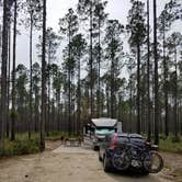 Review photo of Cary State Forest by Annell N., August 14, 2020