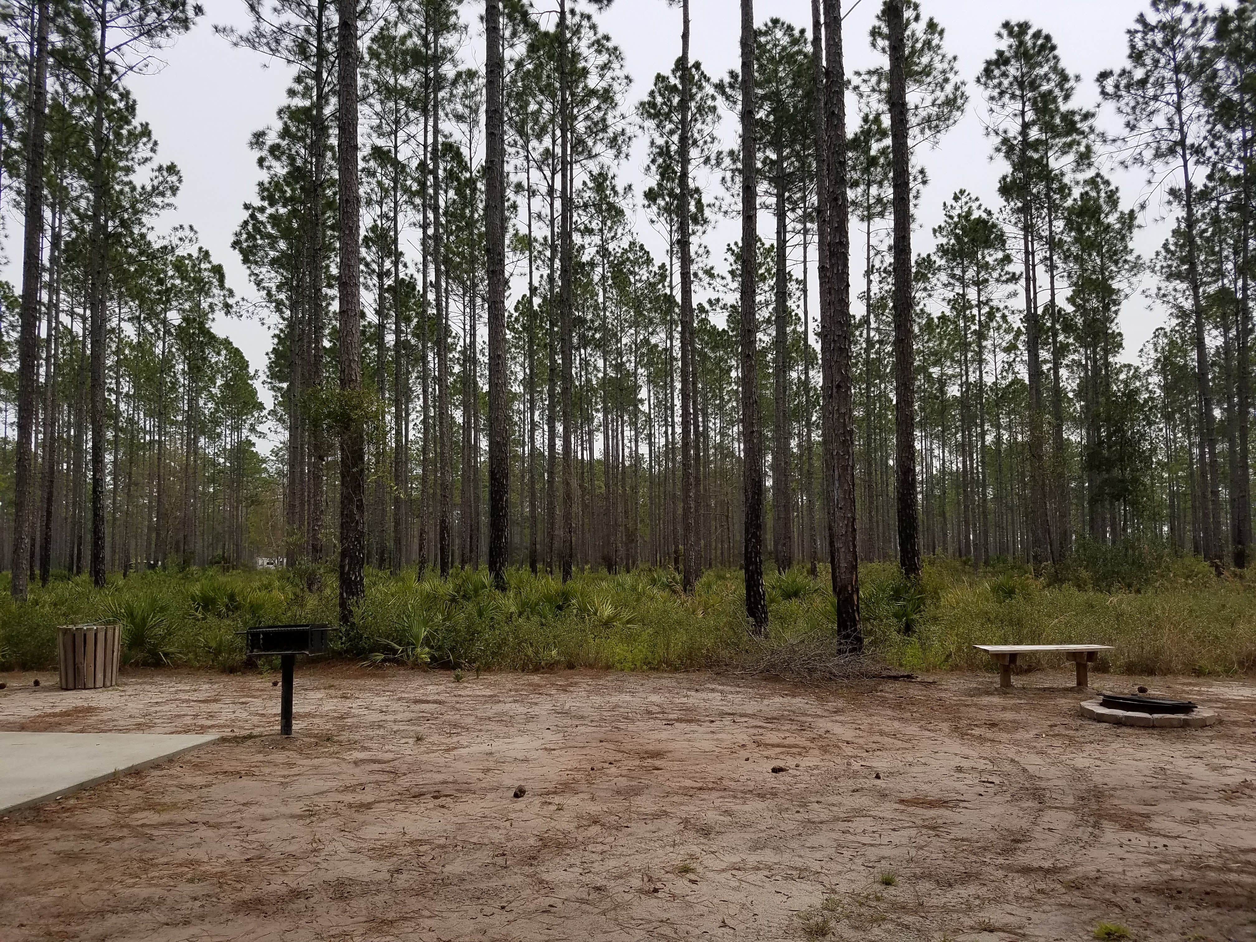 Camper-submitted photo at Cary State Forest Campground near Orange Park, FL