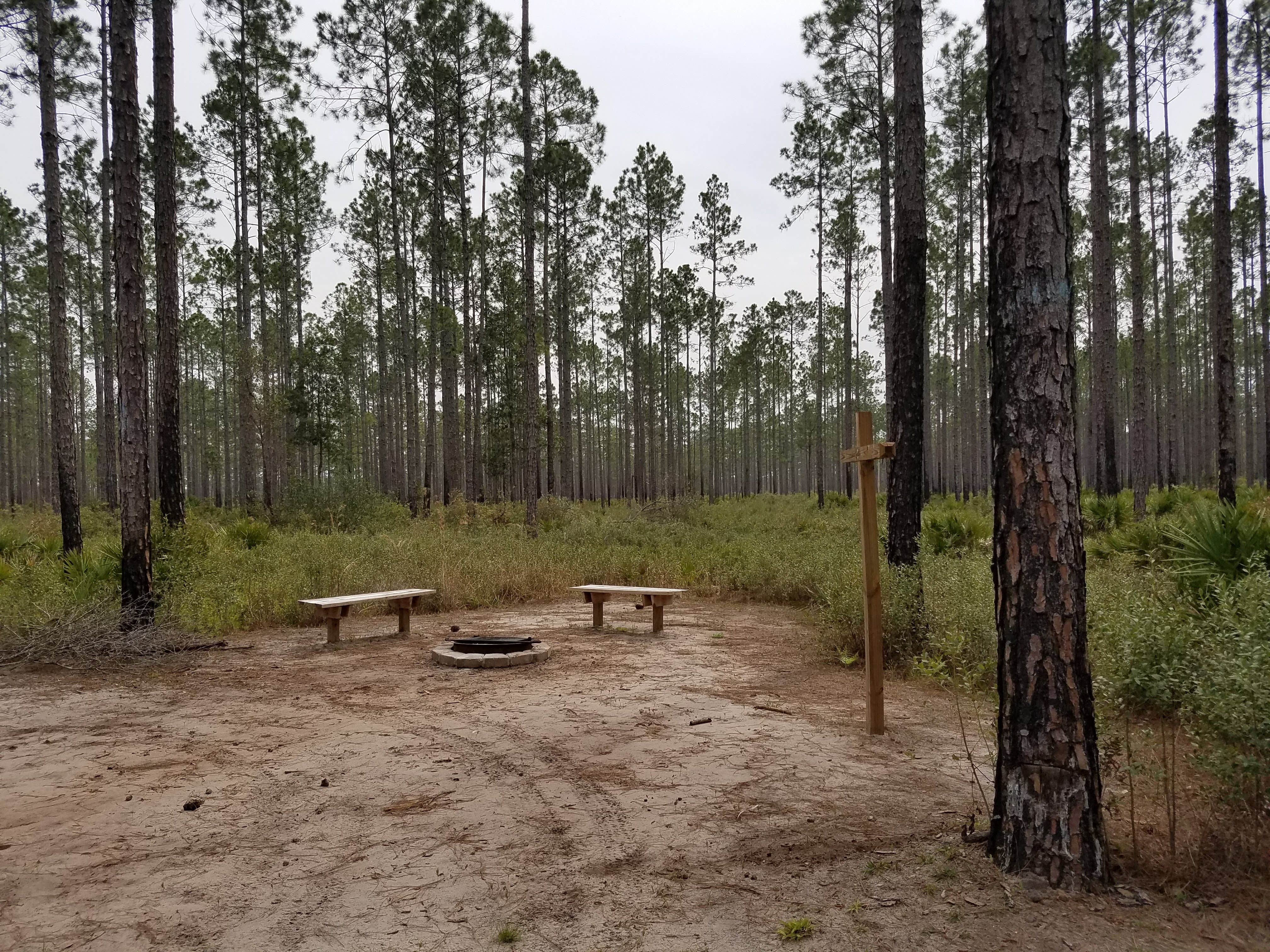 Camper-submitted photo at Cary State Forest Campground near Orange Park, FL