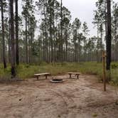 Review photo of Cary State Forest by Annell N., August 14, 2020