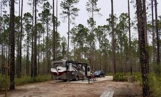 Camping near Flamingo Lake RV Resort: Cary State Forest, Bryceville, Florida