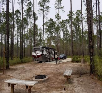 Camper-submitted photo from Cary State Forest
