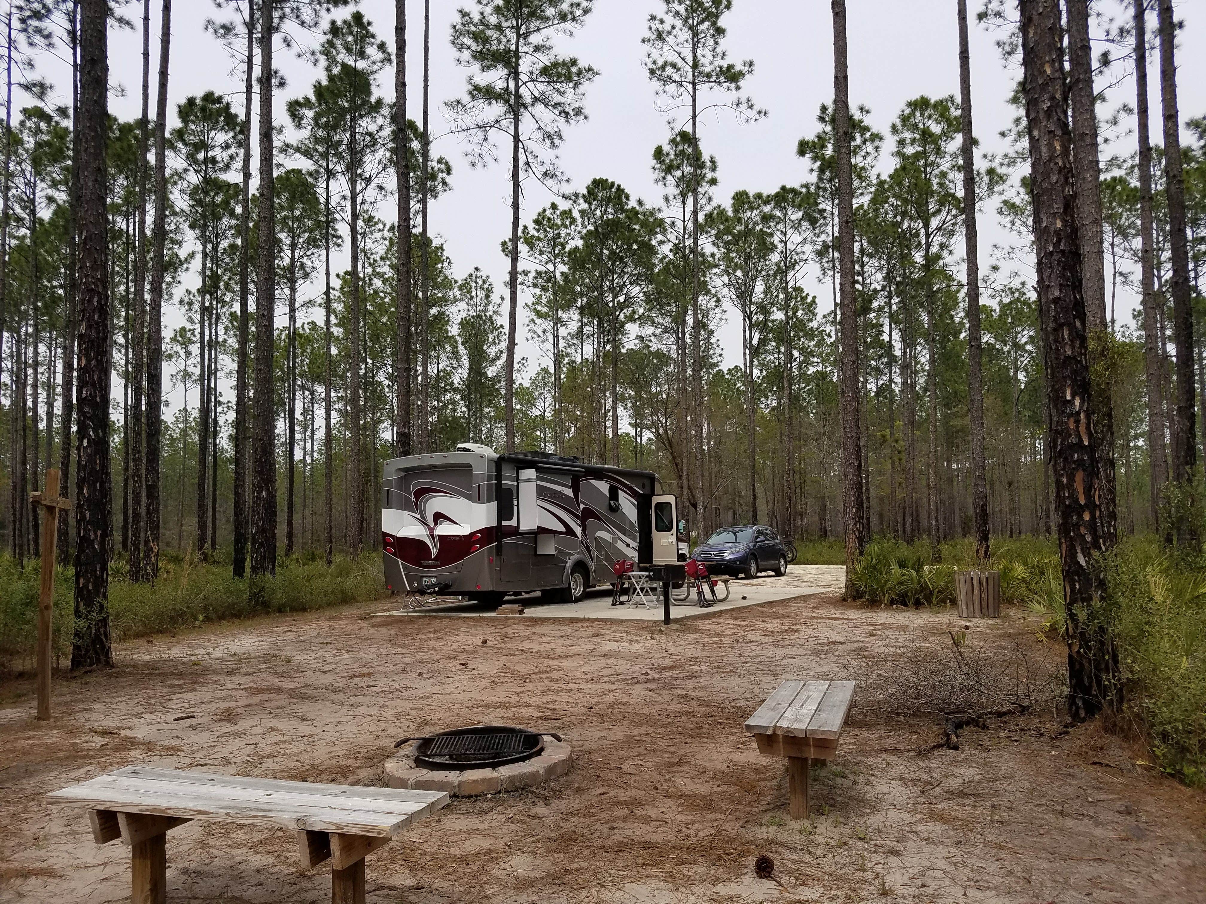 Camper submitted image from Cary State Forest - 1