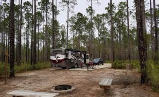 Annell N.'s photo at Cary State Forest Campground near Callahan, FL