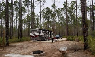 Camping near Hidden River Resort - Clothing Optional: Cary State Forest, Bryceville, Florida