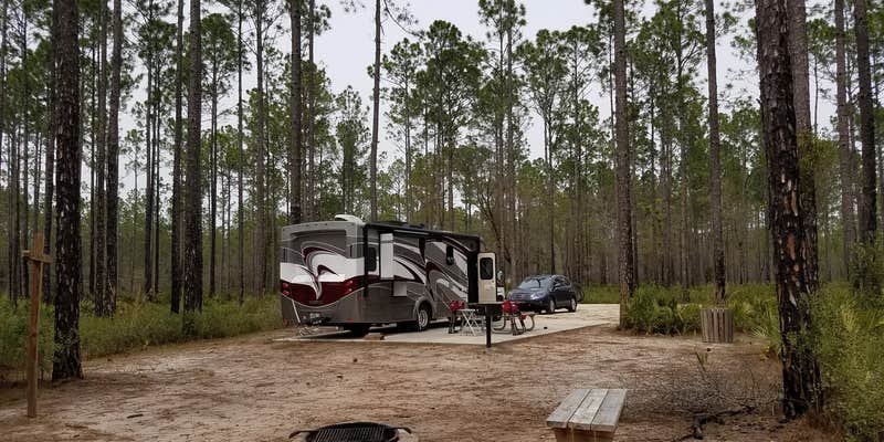 Camper submitted image from Cary State Forest Campground