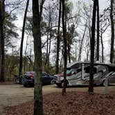 Review photo of Colleton State Park Campground by Annell N., August 14, 2020