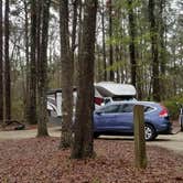 Review photo of Colleton State Park Campground by Annell N., August 14, 2020