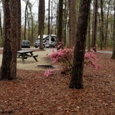 Review photo of Colleton State Park Campground by Annell N., August 14, 2020