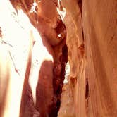 Review photo of Zion Canyon Campground by Lindsey A., April 26, 2018