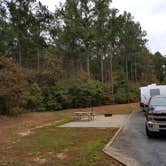 Review photo of Chattahoochee Bend State Park Campground by Annell N., August 14, 2020
