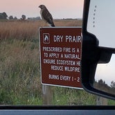 Review photo of Kissimmee Prairie Preserve State Park Campground by Annell N., August 14, 2020