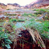 Review photo of Zion Canyon Campground by Lindsey A., April 26, 2018