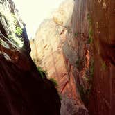 Review photo of Zion Canyon Campground by Lindsey A., April 26, 2018