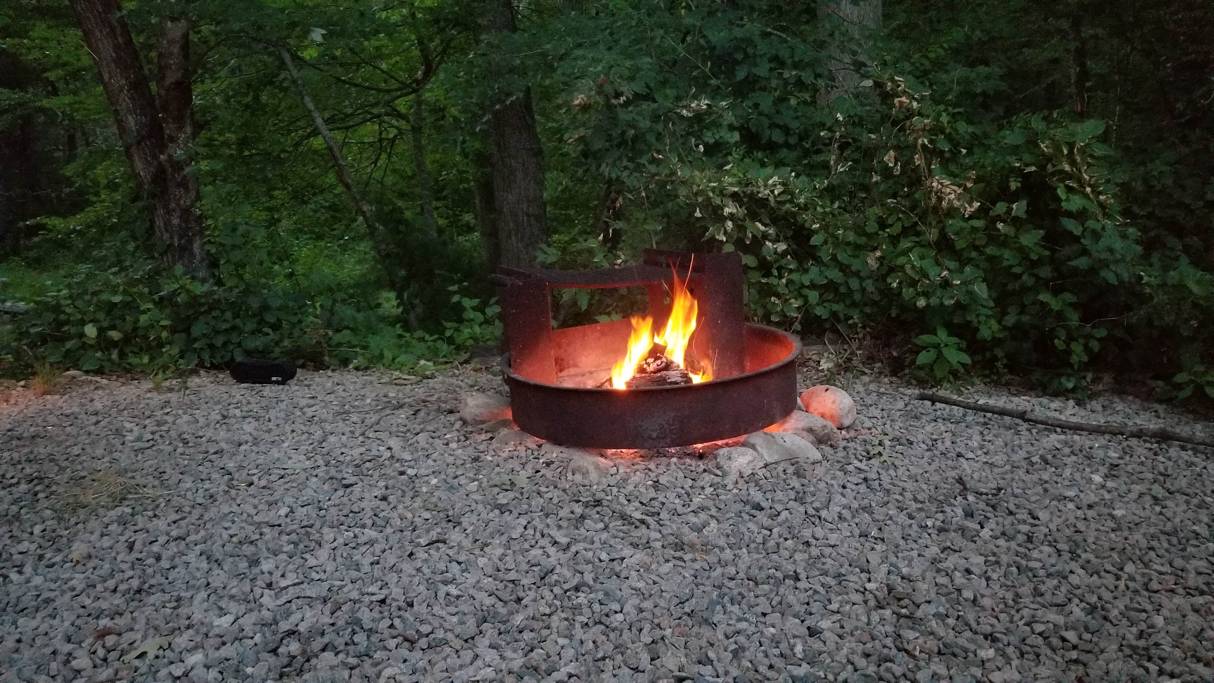 Camper submitted image from Whispering Pines Campground - 4