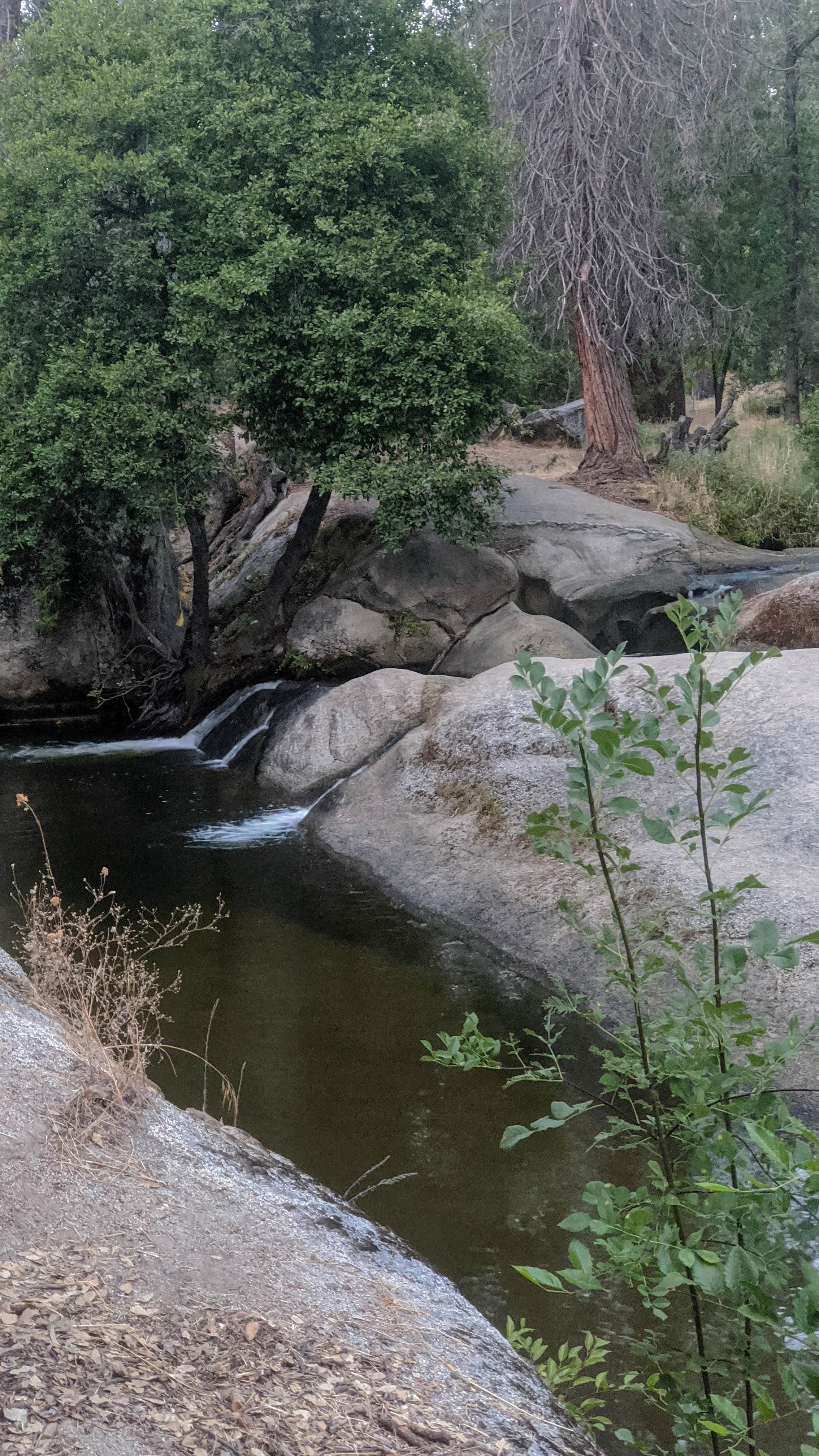 Camper-submitted photo at High Sierra RV Park near Biola, CA