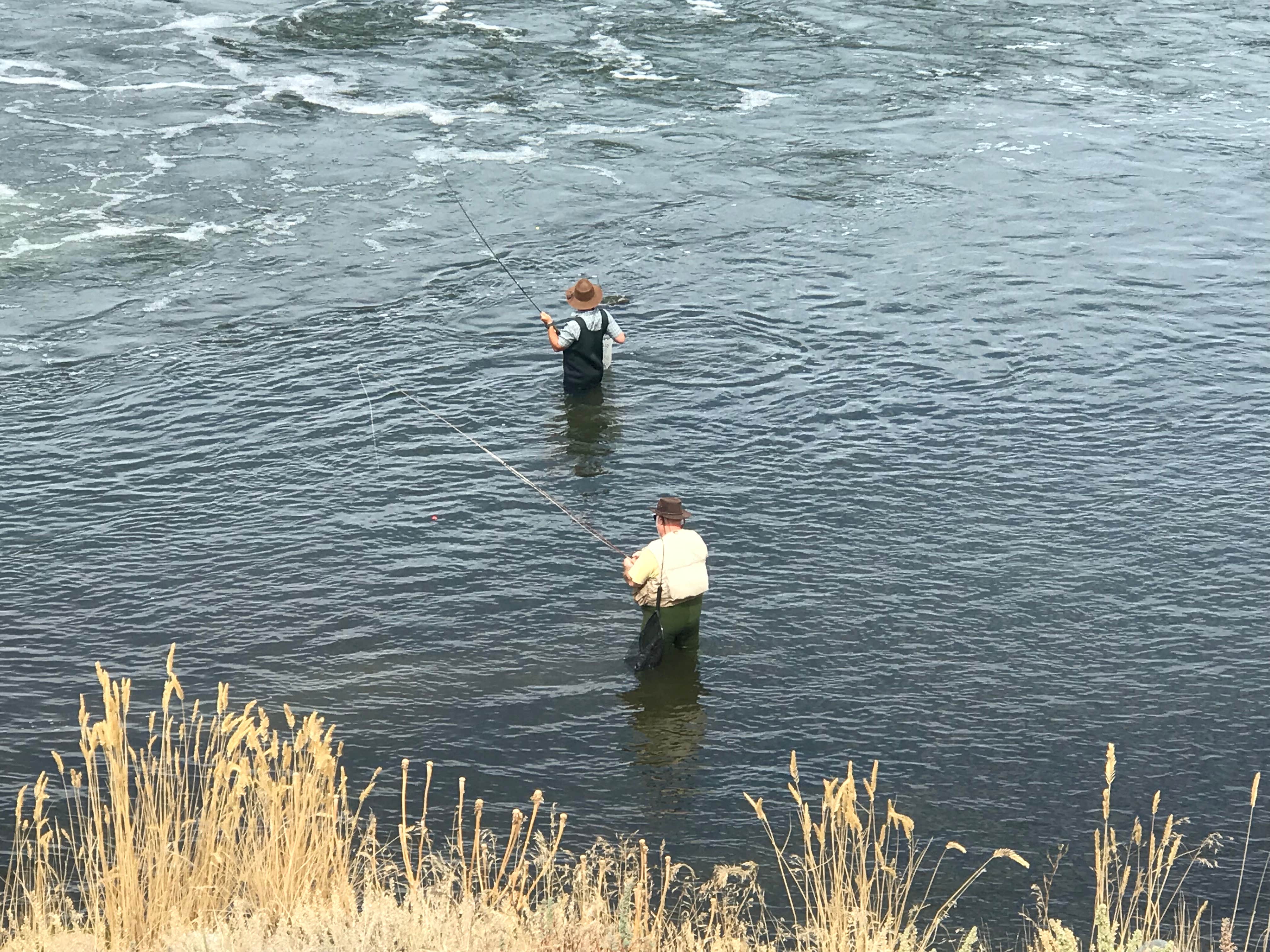 Camper-submitted photo at Chalk Bluffs Campground near Mills, WY