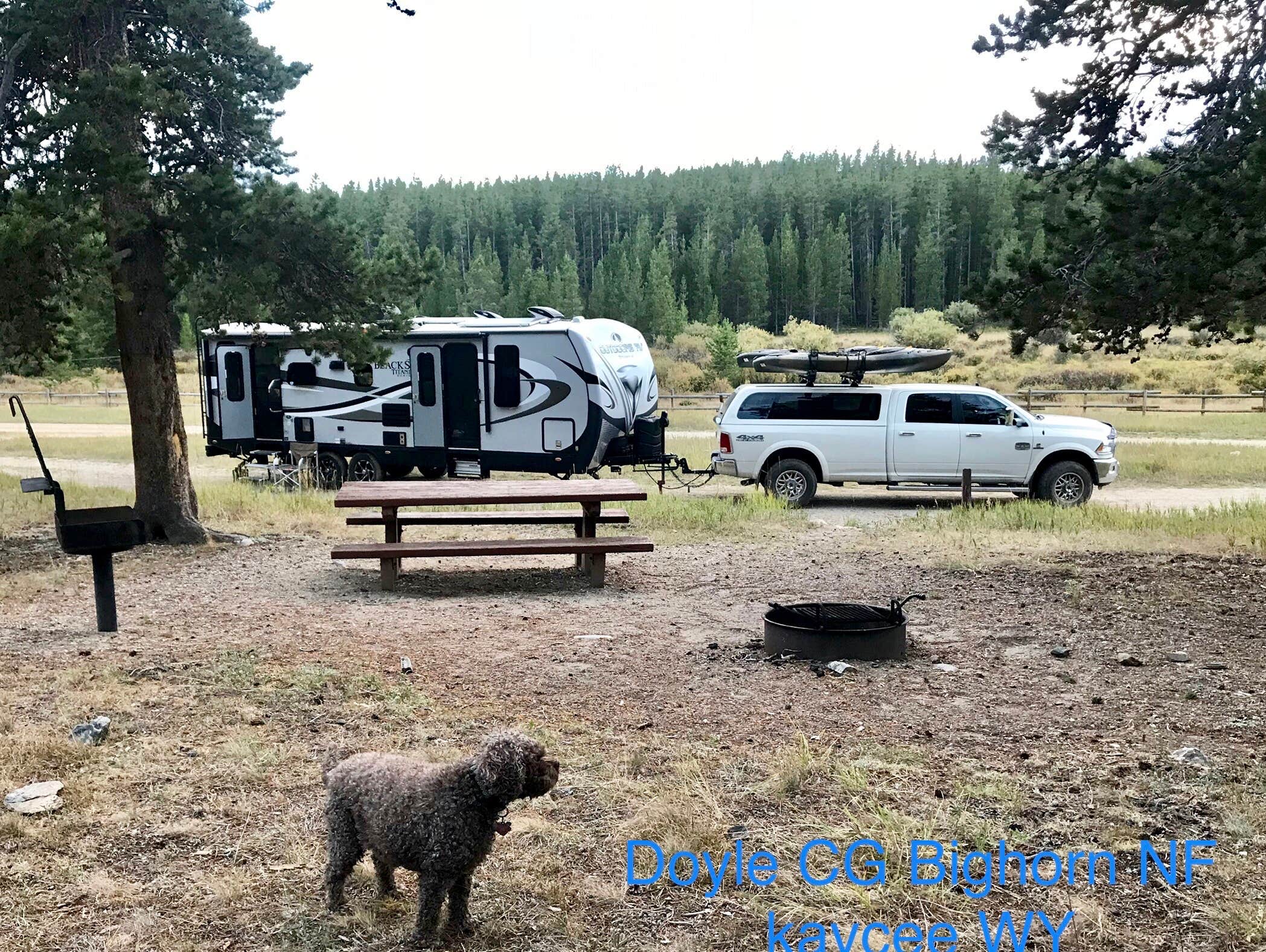 Camper-submitted photo at Doyle Creek Campground near Sheridan, WY