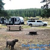 Review photo of Doyle Creek Campground by Teresa H., August 14, 2020