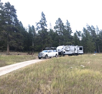 Camper-submitted photo from Doyle Creek Campground